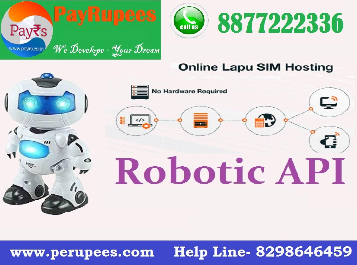 Robotic API Provider