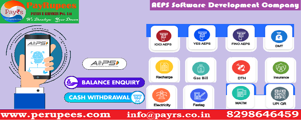 AEPS Software Development Company